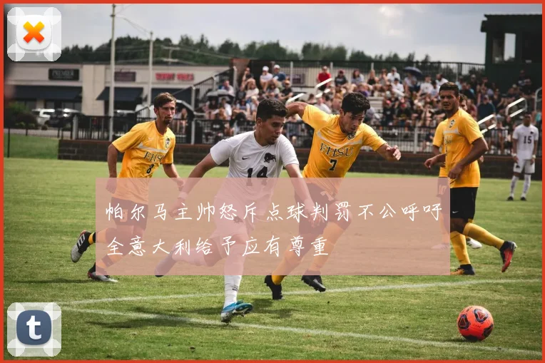 帕尔马主帅怒斥点球判罚不公呼吁全意大利给予应有尊重